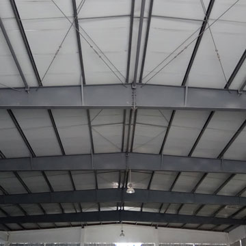55͹55